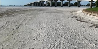 800 S GULFVIEW BOULEVARD 800 S GULFVIEW BOULEVARD Photo Gallery 1