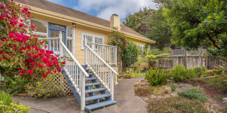 3859 Beach Bungalow 3859 Beach Bungalow Photo Gallery 1