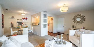 10X Harbour Palms 10X Harbour Palms Photo Gallery 1