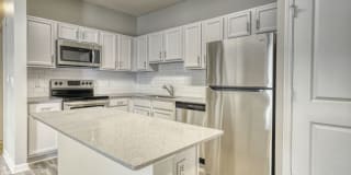 Canopy at Belfort Park Apartment Homes Canopy at Belfort Park Apartment Homes Photo Gallery 1