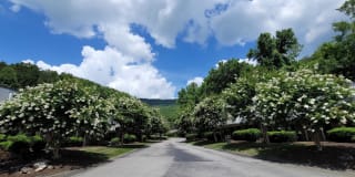 Trails of Signal Mountain Trails of Signal Mountain Photo Gallery 1