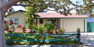 4625 Nelson St 4625 Nelson St Photo Gallery 1