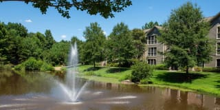 The Lakes Apartments The Lakes Apartments Photo Gallery 1