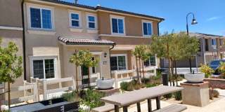 35741 Starling Ave 2202 35741 Starling Ave 2202 Photo Gallery 1