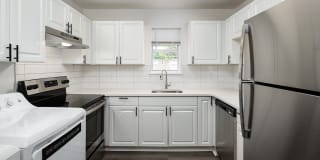Hidden Colony Hidden Colony Photo Gallery 1