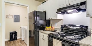 Ashford at Springlake Ashford at Springlake Photo Gallery 1