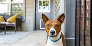Cross Creek at Grapevine Ranch Cross Creek at Grapevine Ranch Photo Gallery 1