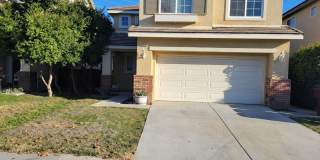 29082 Salrio 29082 Salrio Photo Gallery 1