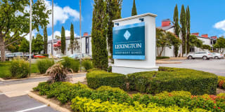 Lexington Lexington Photo Gallery 1