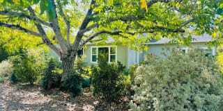 6911 Yount Street 6911 Yount Street Photo Gallery 1