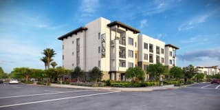 Kalon Luxury Apartments Kalon Luxury Apartments Photo Gallery 1
