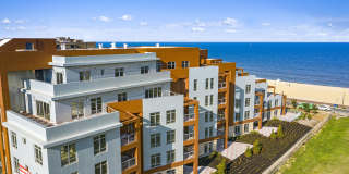 345 Ocean Boulevard 345 Ocean Boulevard Photo Gallery 1