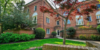 1107 N PITT ST #2A 1107 N PITT ST #2A Photo Gallery 1