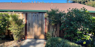 265 Lincoln Ave 265 Lincoln Ave Photo Gallery 1