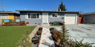 3209 Agate Drive 3209 Agate Drive Photo Gallery 1