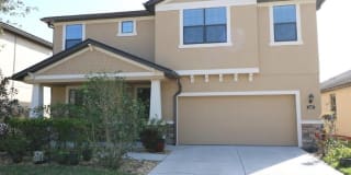829 VINO VERDE CIRCLE 829 VINO VERDE CIRCLE Photo Gallery 1