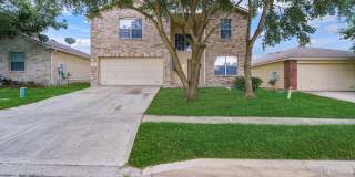 125 PINTO PL 125 PINTO PL Photo Gallery 1