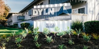 Dyln Dyln Photo Gallery 1
