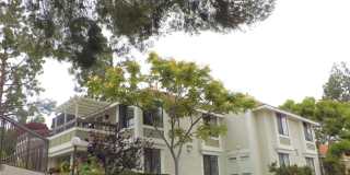 25697 Sycamore Pointe 25697 Sycamore Pointe Photo Gallery 1