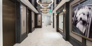 The Huntley On Park Avenue The Huntley On Park Avenue Photo Gallery 1