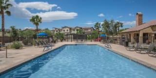 The Vineyards at Palm Desert The Vineyards at Palm Desert Photo Gallery 1