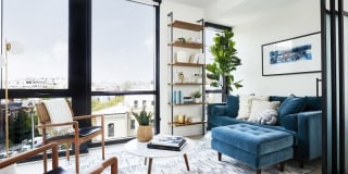 The Wren D.C. The Wren D.C. Photo Gallery 1