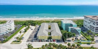 Dolphin Beach Dolphin Beach Photo Gallery 1