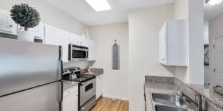 1307 River Tree Dr 101 1307 River Tree Dr 101 Photo Gallery 1