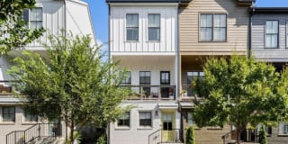 713 Needletail Way 713 Needletail Way Photo Gallery 1