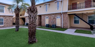 The Palms The Palms Photo Gallery 1