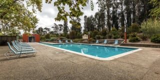 Lakewood Apartments at Lake Merced Lakewood Apartments at Lake Merced Photo Gallery 1