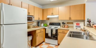 Forest Lake Forest Lake Photo Gallery 1