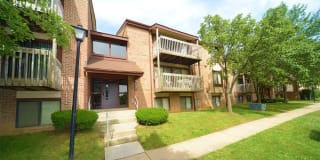 Shade Tree Trace Shade Tree Trace Photo Gallery 1