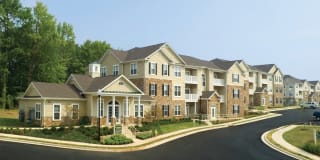The Islands of Fox Chase The Islands of Fox Chase Photo Gallery 1