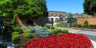 Fallwood Fallwood Photo Gallery 1