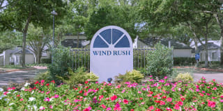 Wind Rush Wind Rush Photo Gallery 1