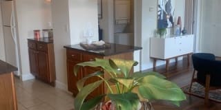 Nissen Building Apartments Nissen Building Apartments Photo Gallery 1
