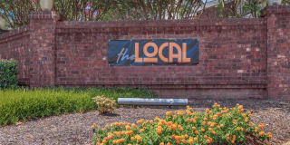 The Local The Local Photo Gallery 1