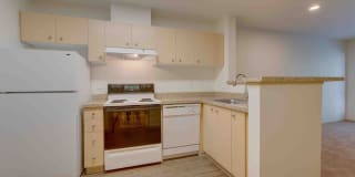 Excalibur Excalibur Photo Gallery 1