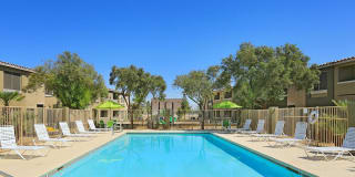 Olive Grove Olive Grove Photo Gallery 1