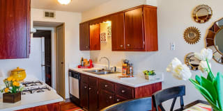 Ridge Ridge Photo Gallery 1
