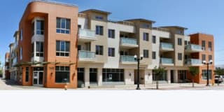 Allium Apartments Allium Apartments Photo Gallery 1