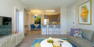 The Grove at Portofino Vineyards The Grove at Portofino Vineyards Photo Gallery 1