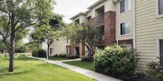 Woodlands