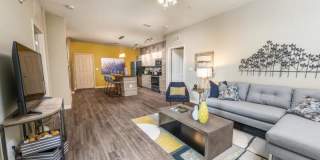The Nolen Luxury Apartments