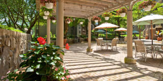 Peachtree of McLean Peachtree of McLean Photo Gallery 1