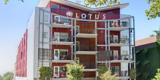 Lotus Lotus Photo Gallery 1