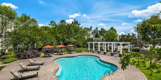 Palmetto Creek Palmetto Creek Photo Gallery 1