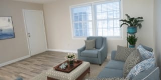 Carolina Pines Carolina Pines Photo Gallery 1