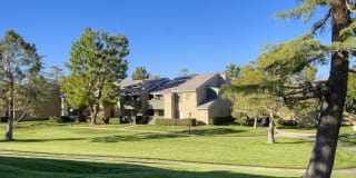 Palm Chaparral Palm Chaparral Photo Gallery 1